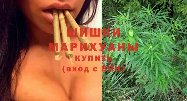 винт Горняк